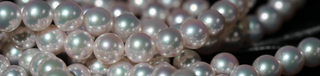 Things You Don't Know About Akoya Pearls - Zaiyou Jewelry